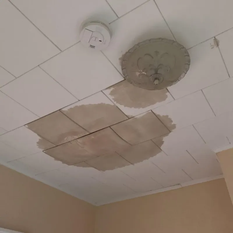 Ceiling Water Damage Repair in Jewett City, CT