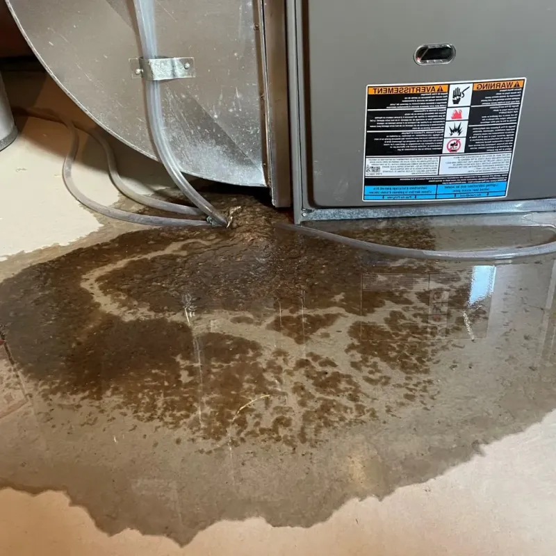 Pipe Burst and Leak Restoration in Jewett City, CT
